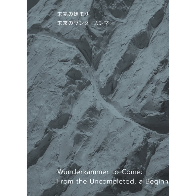 未完の始まり：未来のヴンダーカンマー | HeHe