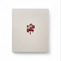 Swaying Flowers - ayakaendo