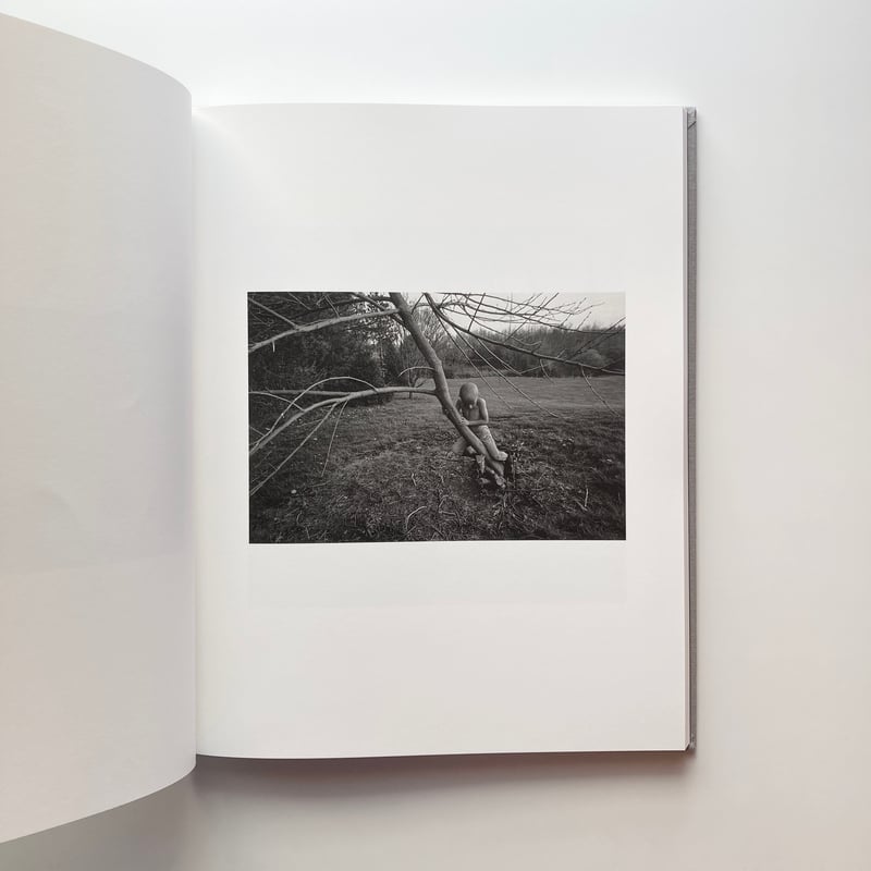 The Seraphim - Jesse Lenz | goat books