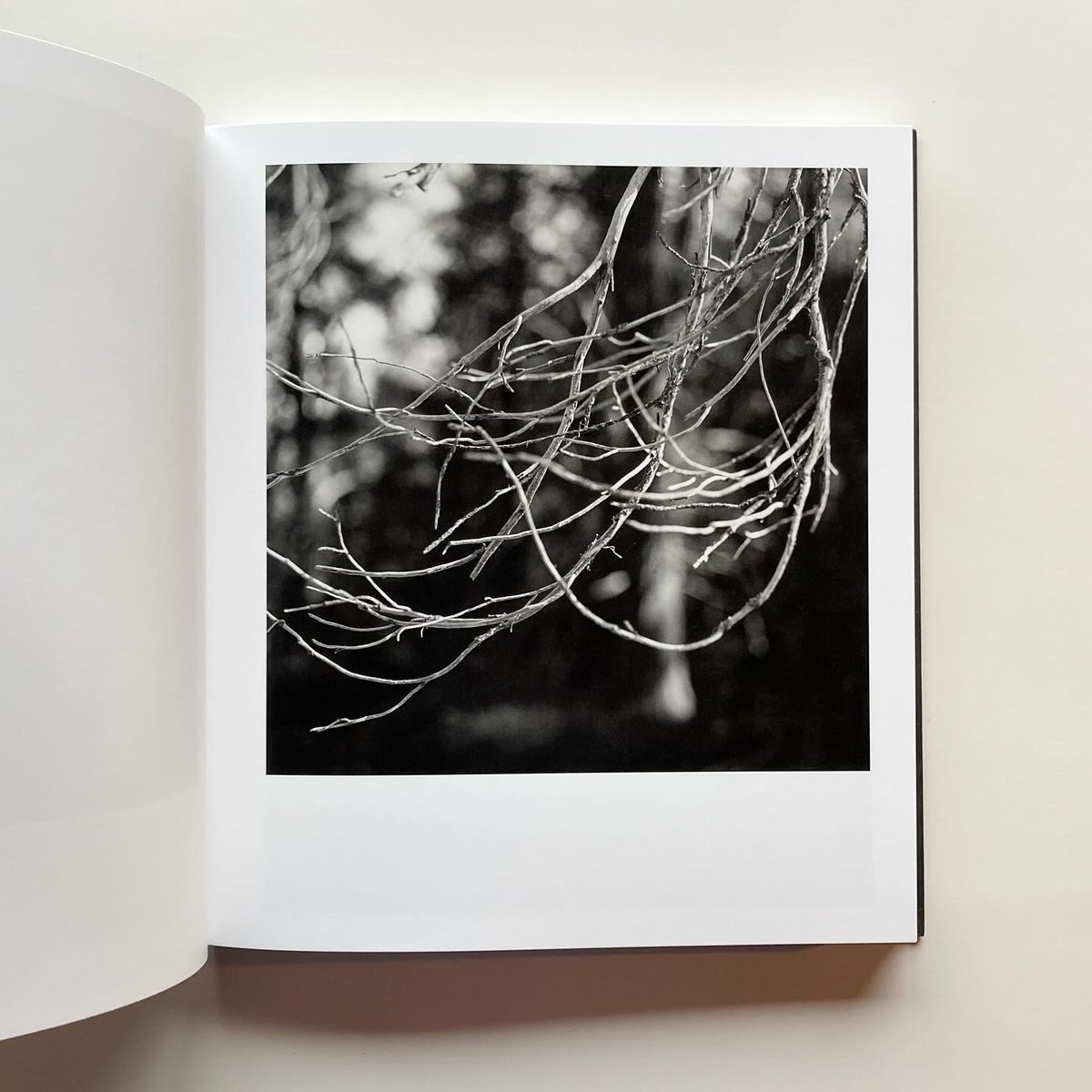 MEGALITH-STILL - Mimi Plumb | goat books