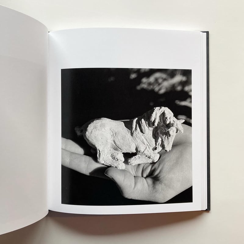 MEGALITH-STILL - Mimi Plumb | goat books