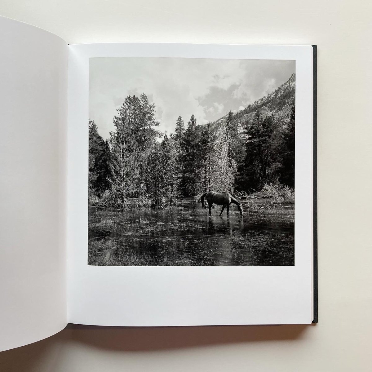 MEGALITH-STILL - Mimi Plumb | goat books