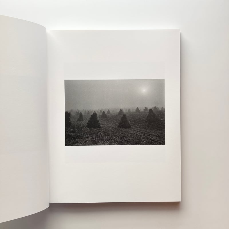 洋書 Jesse Lenz the seraphim The Seraphim - Jesse Lenz | goat books