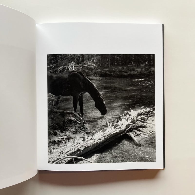 MEGALITH-STILL - Mimi Plumb | goat books
