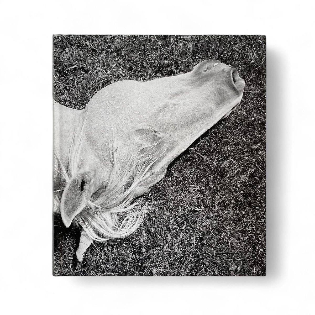 MEGALITH-STILL - Mimi Plumb | goat books