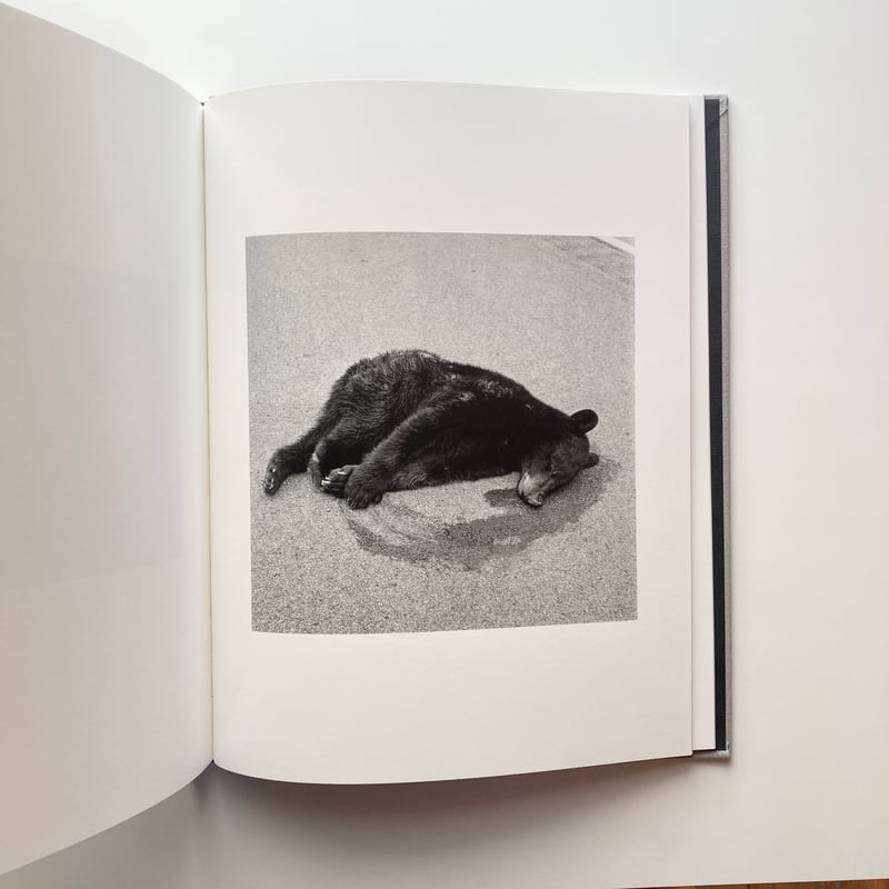 The Seraphim - Jesse Lenz | goat books