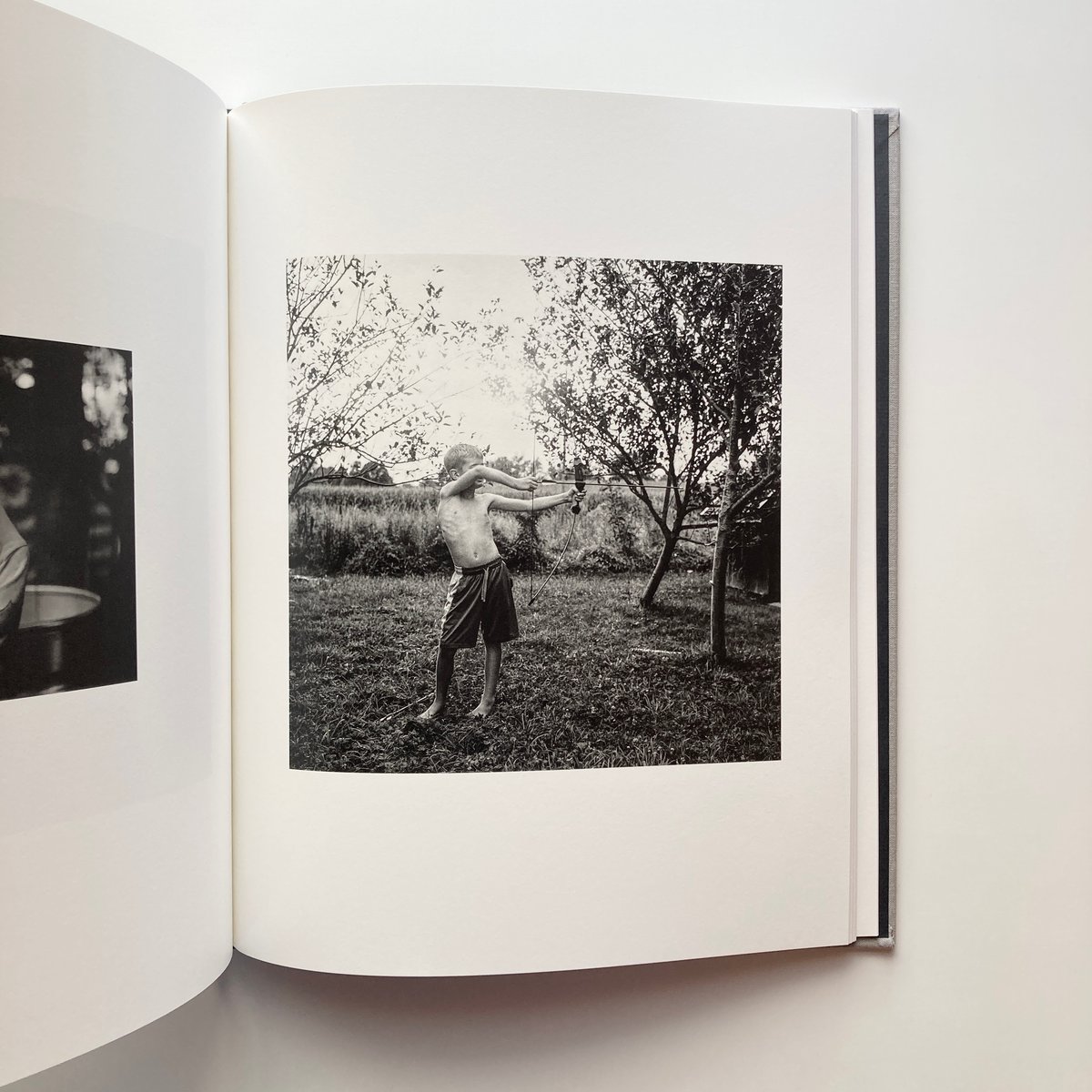 The Seraphim - Jesse Lenz | goat books