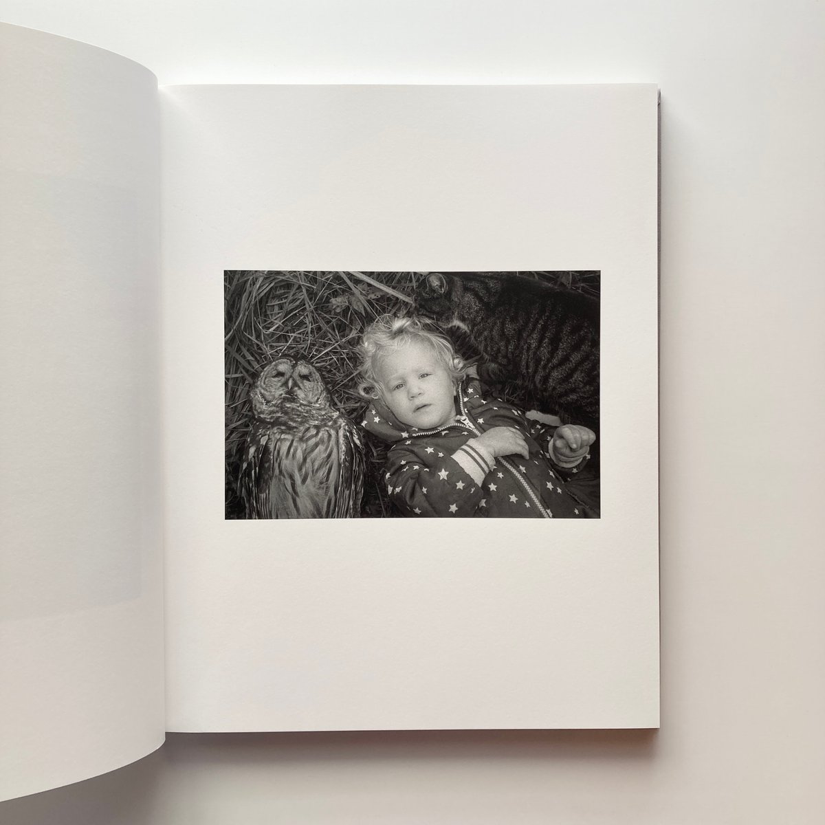 洋書 Jesse Lenz the seraphim The Seraphim - Jesse Lenz | goat books