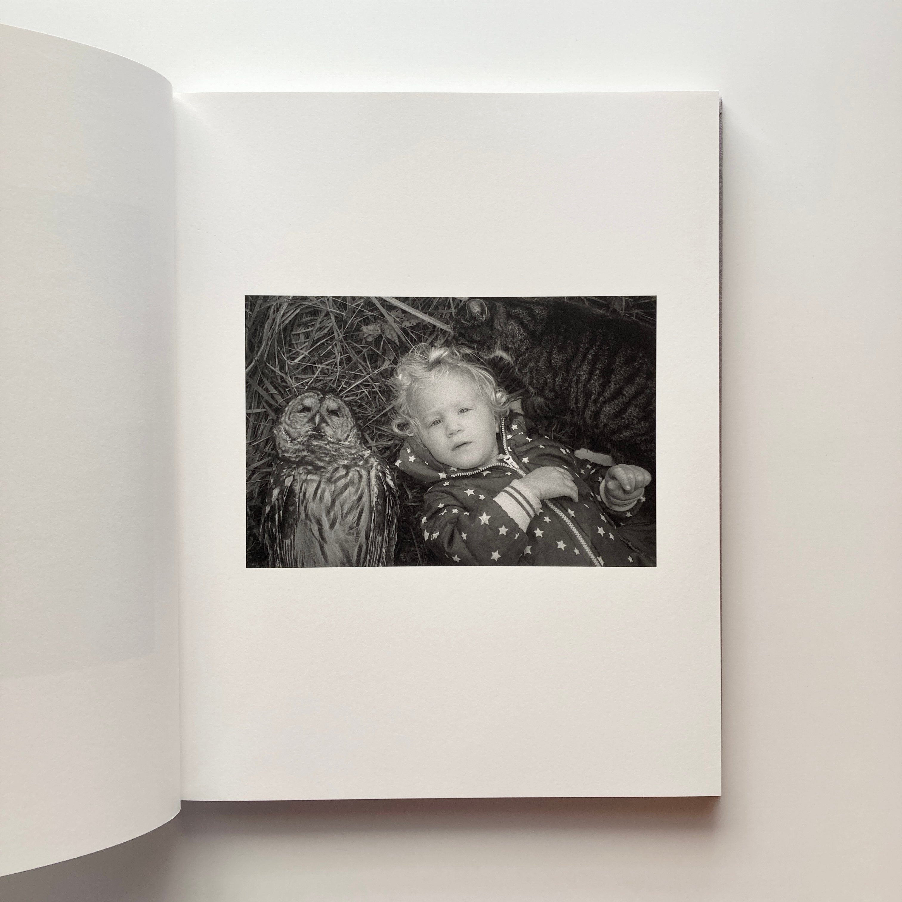 The Seraphim - Jesse Lenz | goat books