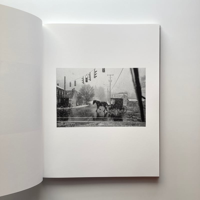 The Seraphim - Jesse Lenz | goat books