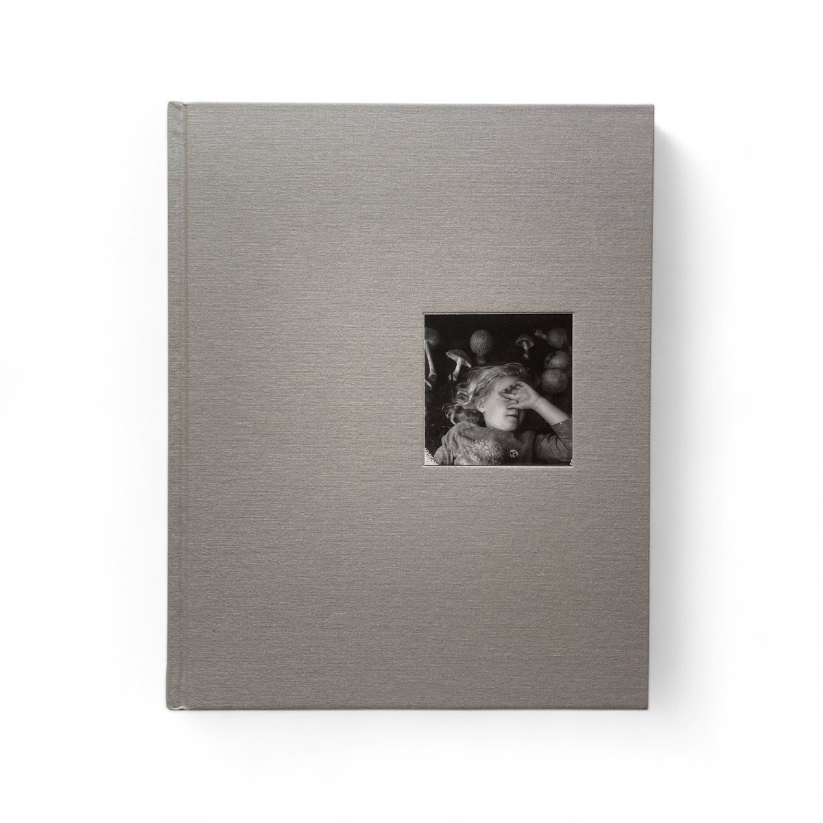 洋書 Jesse Lenz the seraphim The Seraphim - Jesse Lenz | goat books
