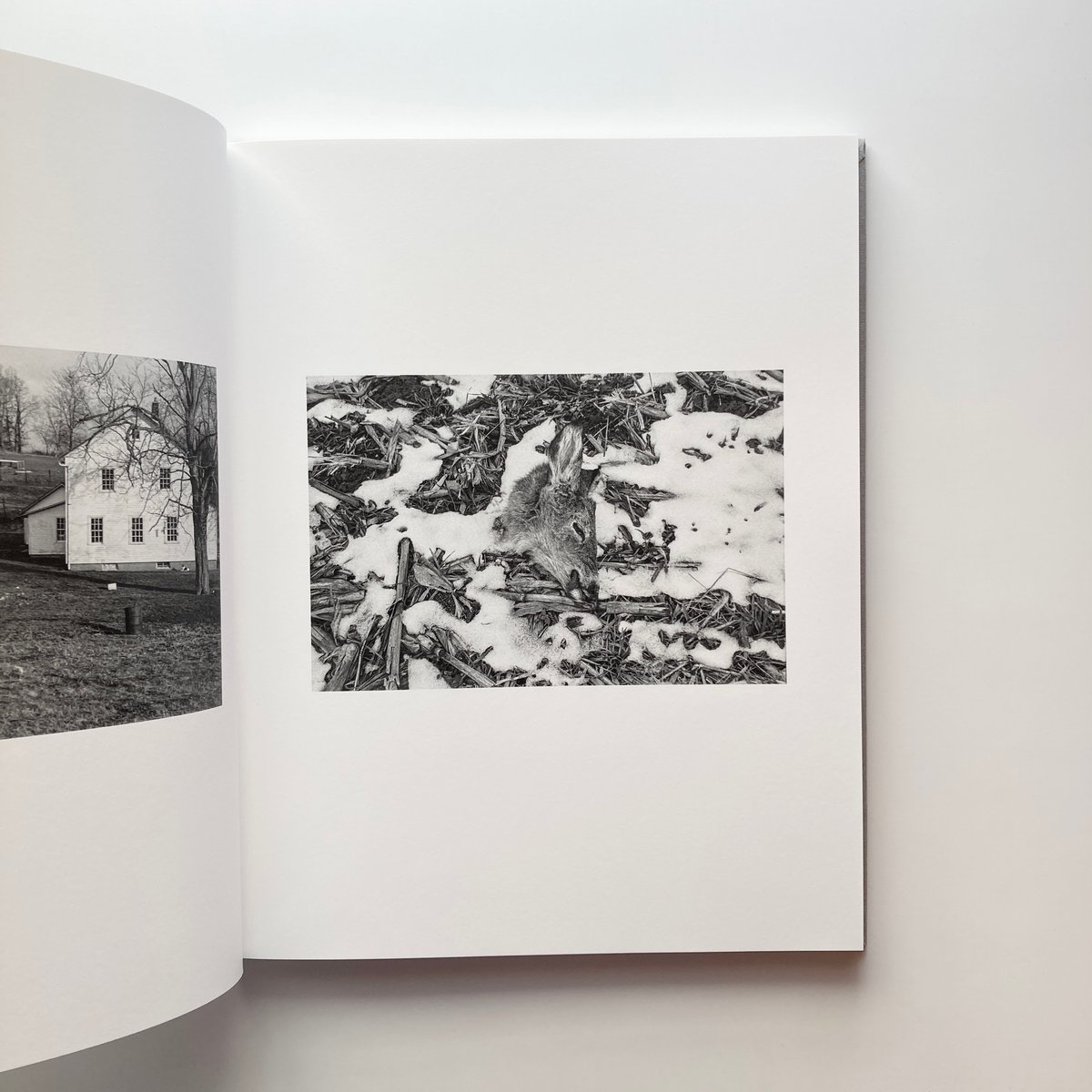 The Seraphim - Jesse Lenz | goat books