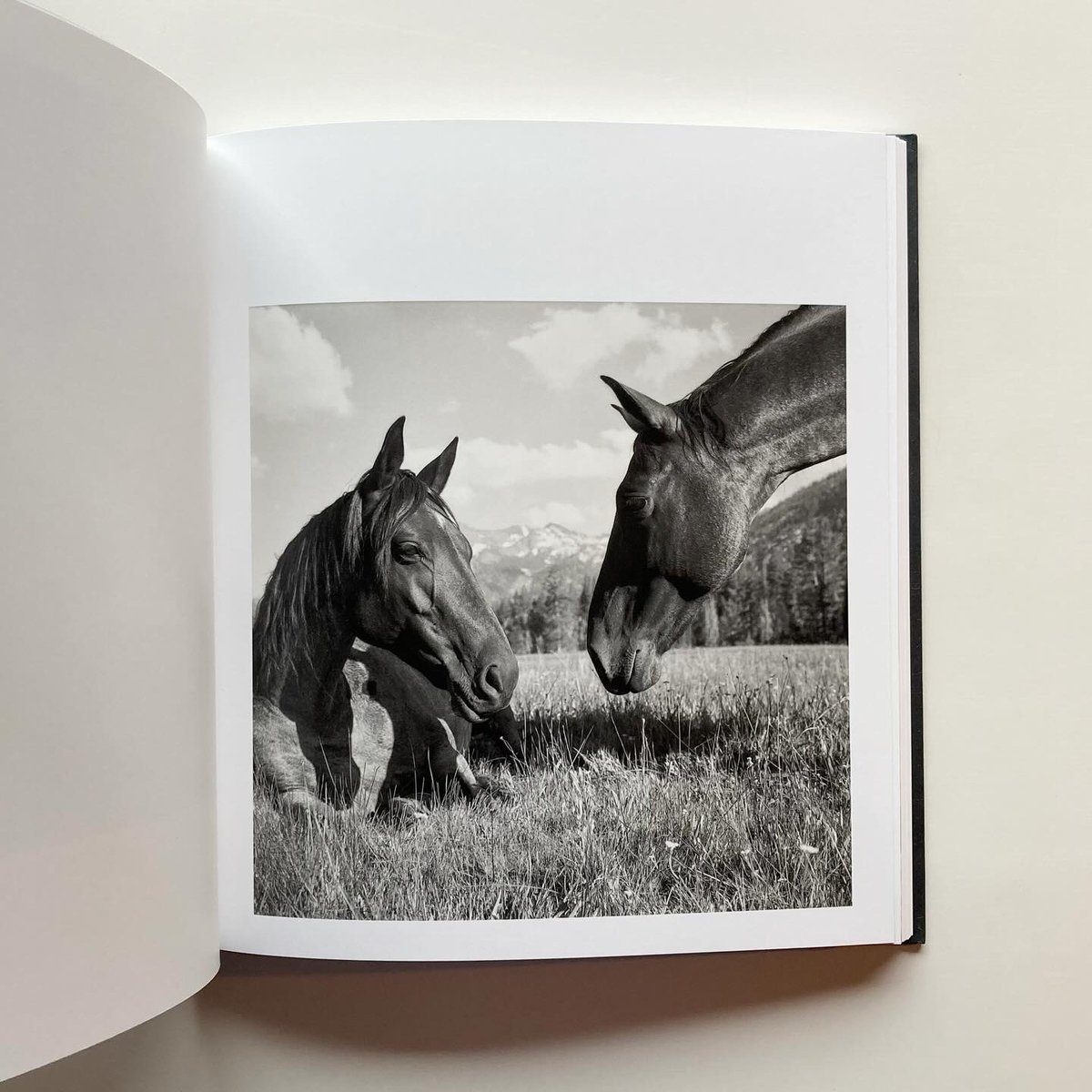 MEGALITH-STILL - Mimi Plumb | goat books