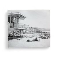 The Seraphim - Jesse Lenz | goat books