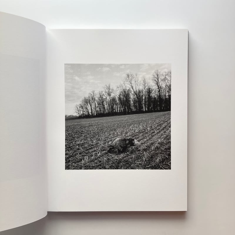 The Seraphim - Jesse Lenz | goat books