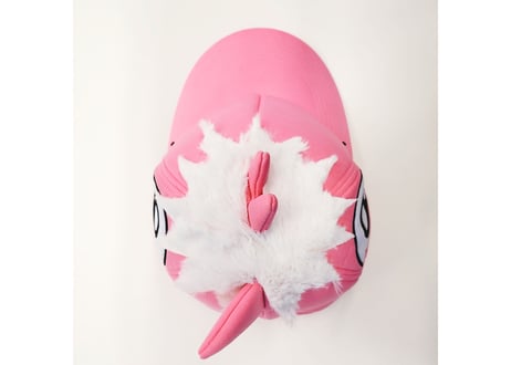 パオロンCAP