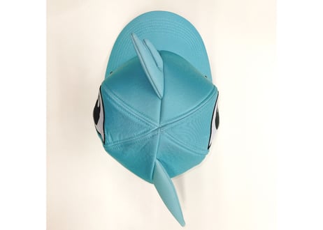 シャオロンCAP