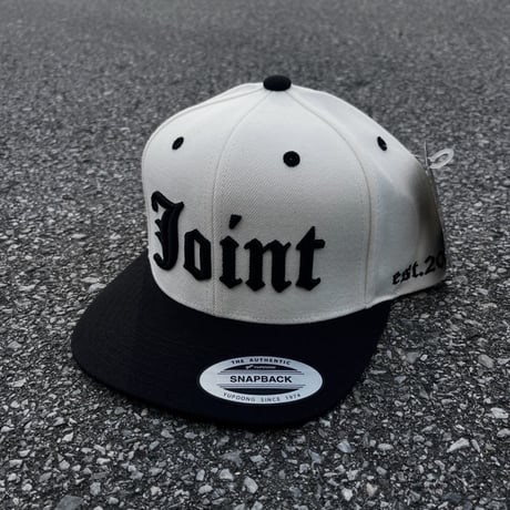 Joint Clothing Snapback Cap