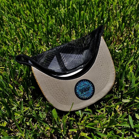 Joint Clothing Snapback Cap