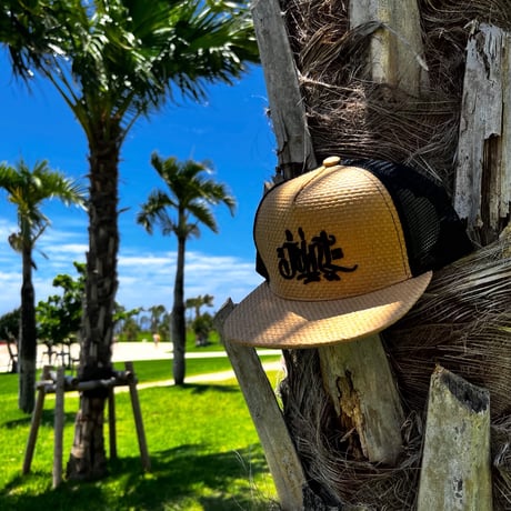 Joint Clothing Snapback Cap