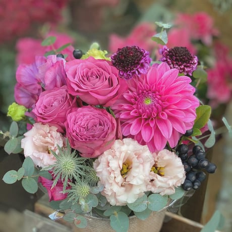 アレンジメント〈5000〉