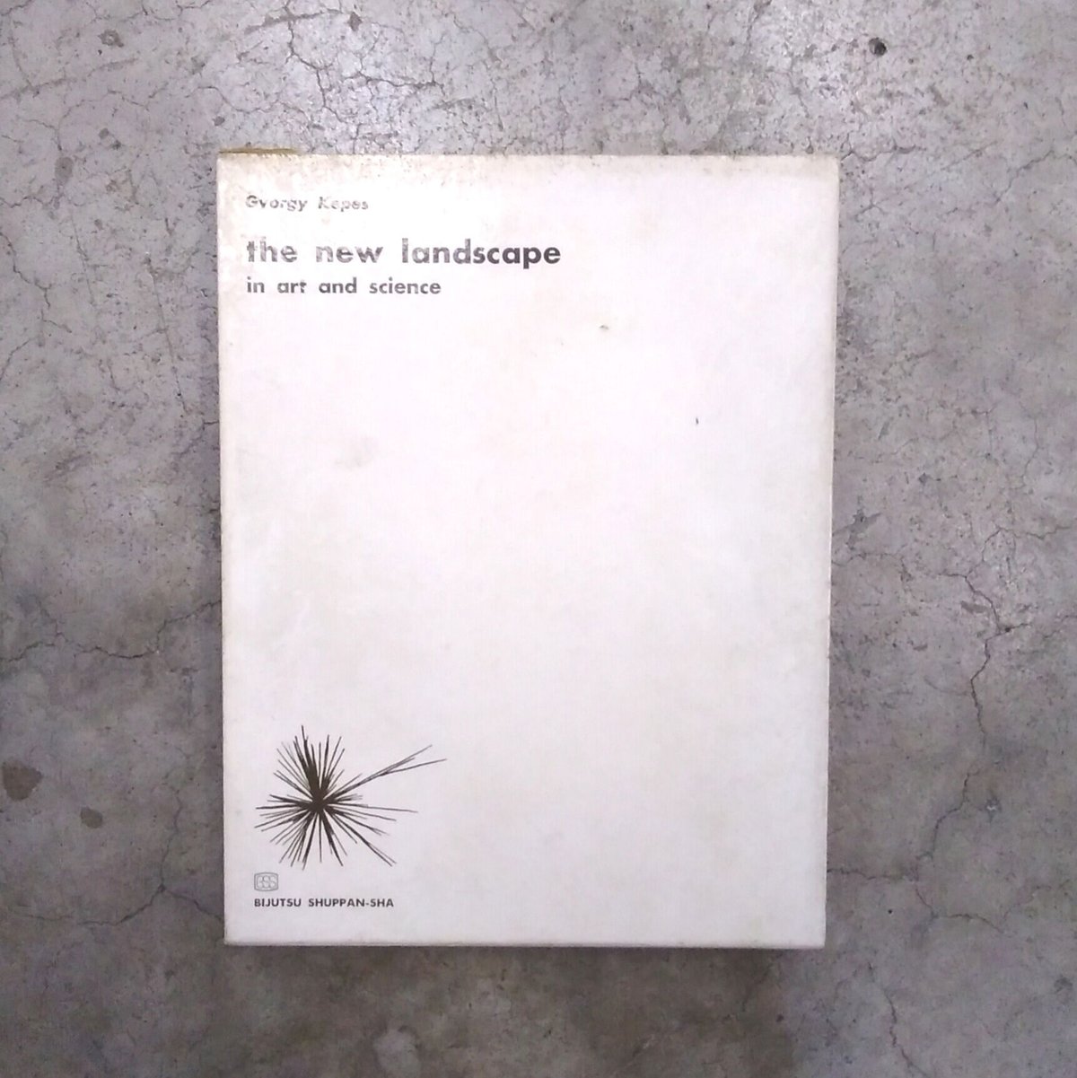 the new landscape in art and science 造形と科学の新しい風