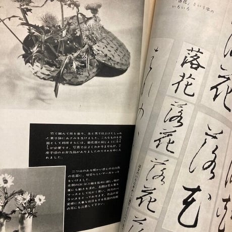 婦人百科　創刊号～12号　12冊で