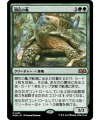 【WOE】開花の亀/Blossoming Tortoise
