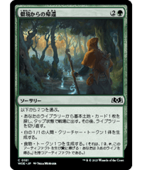 【WOE】僻境からの帰還/Return from the Wilds