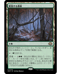 【MH3】変容する森林 / Shifting Woodland