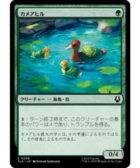 【TLA】カメアヒル/Turtle-Duck