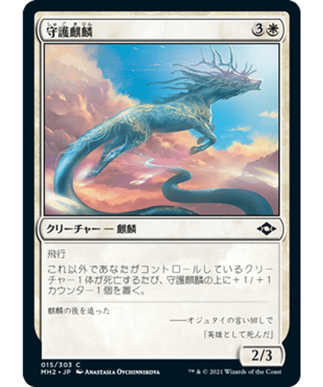 CATEGORY コモン | アルゴ小倉店