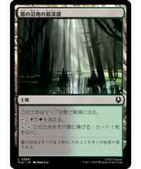 【TLA】霧の沼地の最深部/Foggy Bottom Swamp