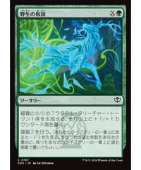 【SOS】野生の仮説/Wild Hypothesis