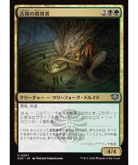 【SOS】古株の教育者/Old-Growth Educator