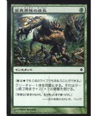 泥炭の沼地　英語版 foil MMQ】泥炭の沼地/Peat Bog（英語版）【FOIL】 | アルゴ小倉店