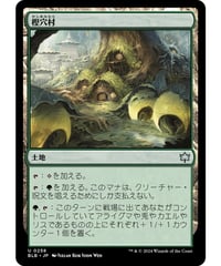 【BLB】樫穴村/Oakhollow Village