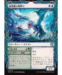 【TDM】竜巻翼の嵐孵り/Whirlwing Stormbrood(322)