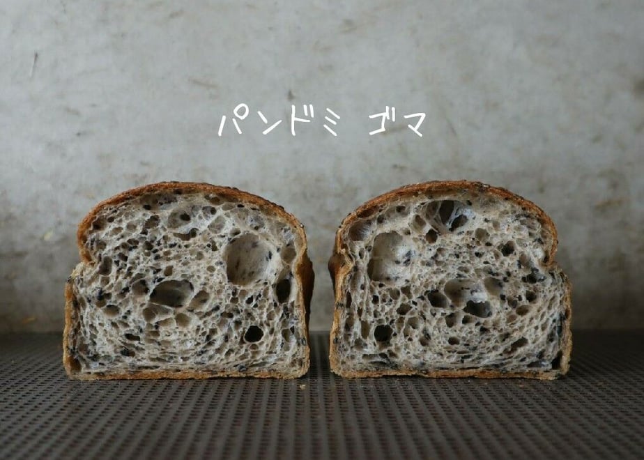 62ad869a288b805c2ed21079
