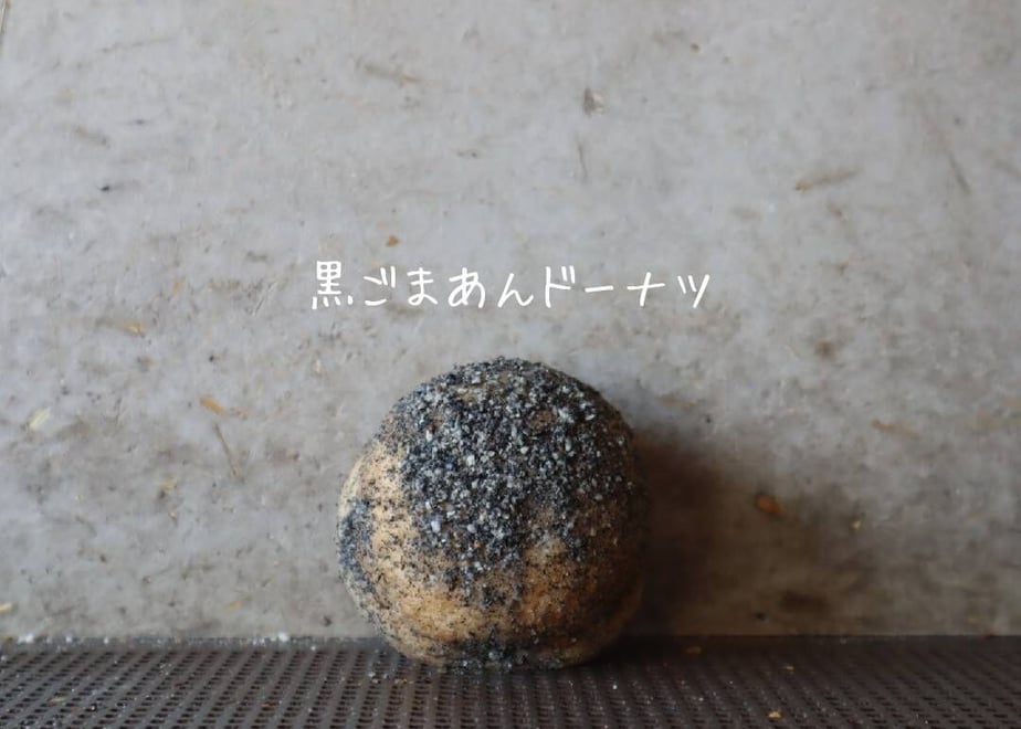 641664b36d097b16b311c7f9