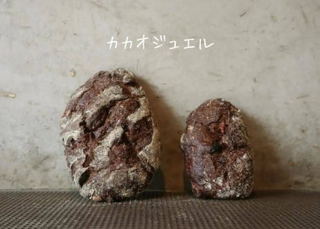 カカオジュエル　ハーフサイズ