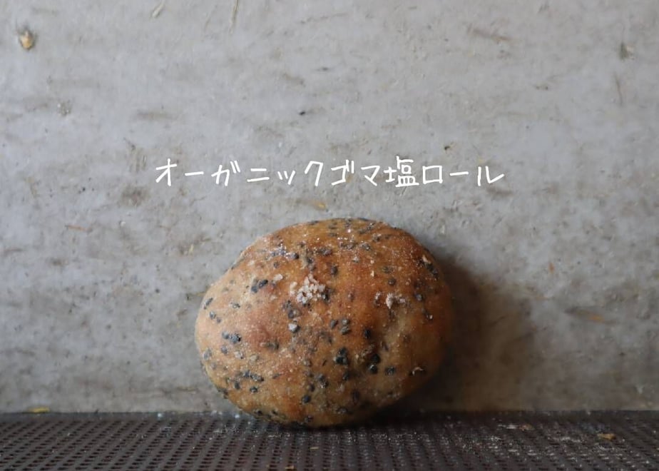 6427a83424c2f4002c47d9e5