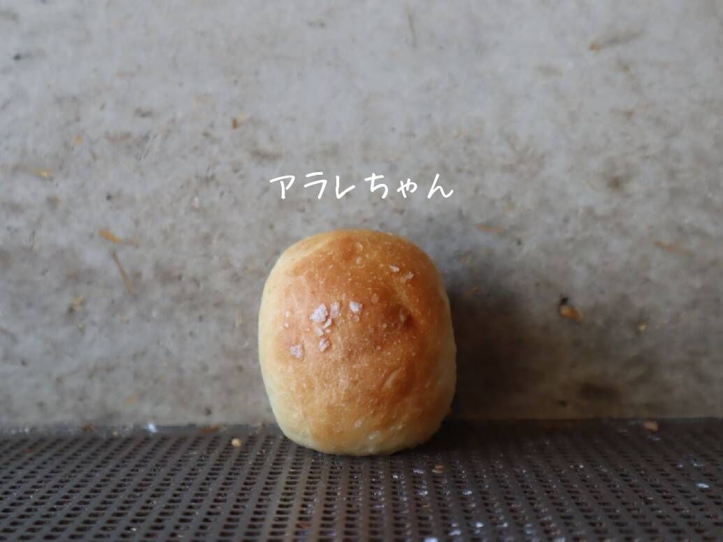 アラレちゃん2個入り | パンストック天神店 オンラインショップ