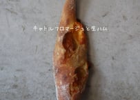 キャトルフロマージュと生ハム