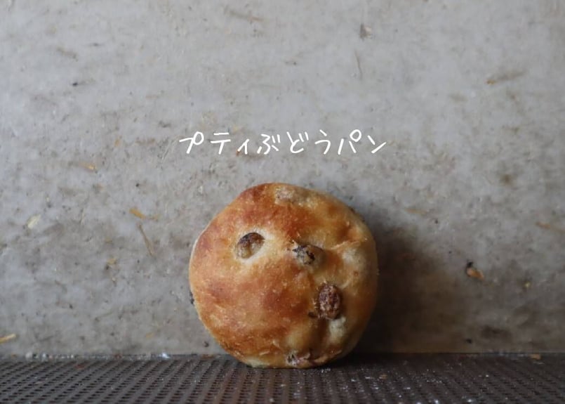 プティぶどうパン2個入り | パンストック天神店 オンラインショップ