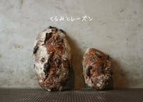 くるみとレーズン　ハーフサイズ