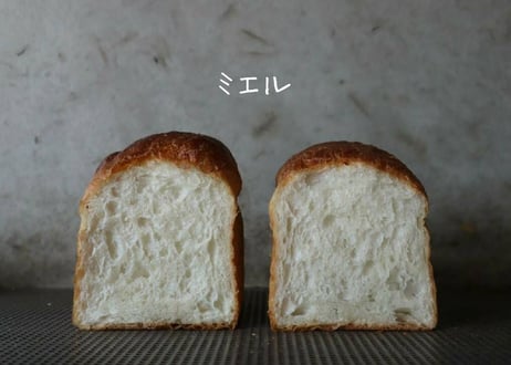 パンドミ　ミエル（ハーフサイズ）