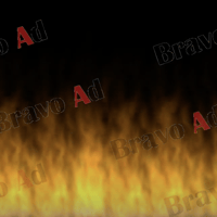 brav-03-00005