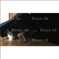 brav-01-00004
