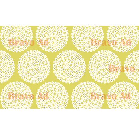brav-02-00057　Background image pattern